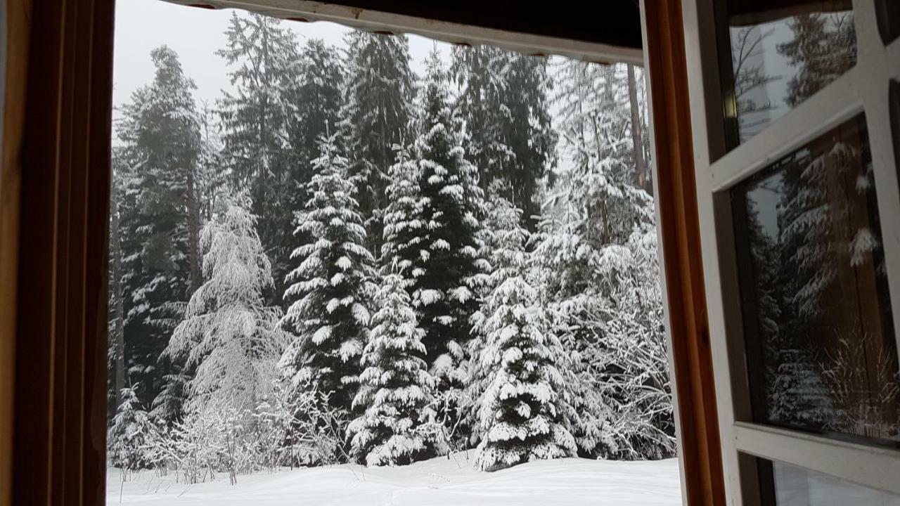 Chalet Taffski Borovets Exterior photo
